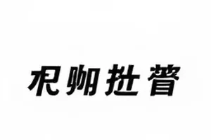 《返场曲》谢幕时观众席亮起的手机灯