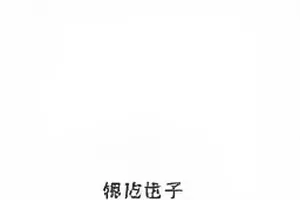 《街角快闪》两条路线的街景比对画面